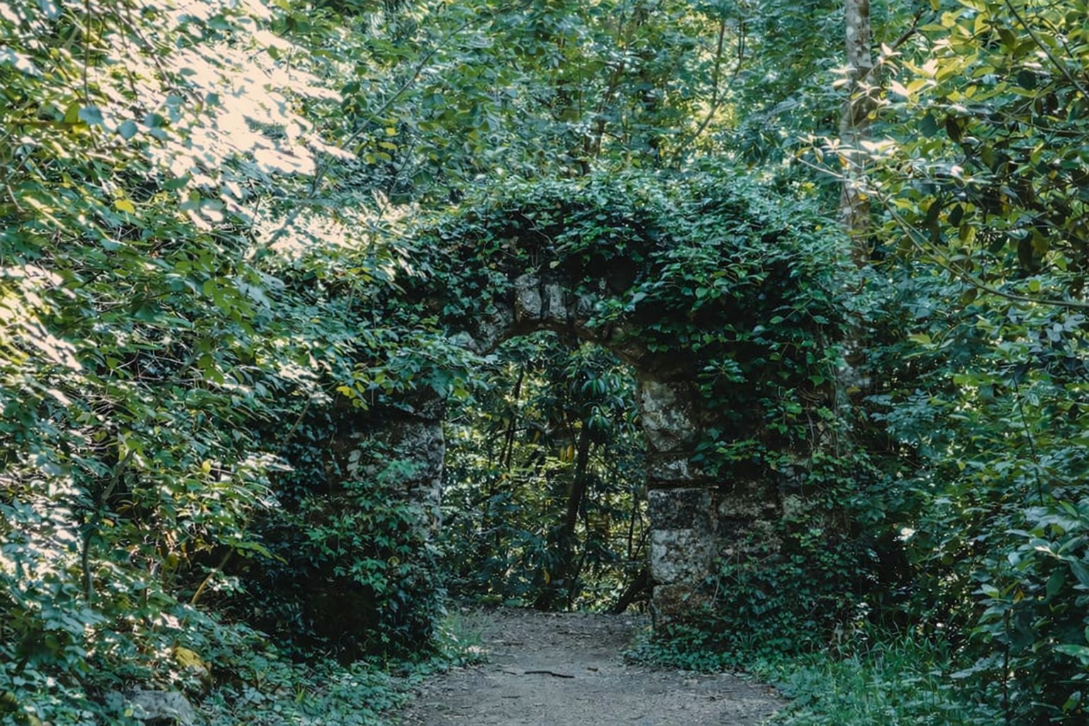 Övervuxen stenvalvsöppning i en skog, en symbol för en väg framåt.